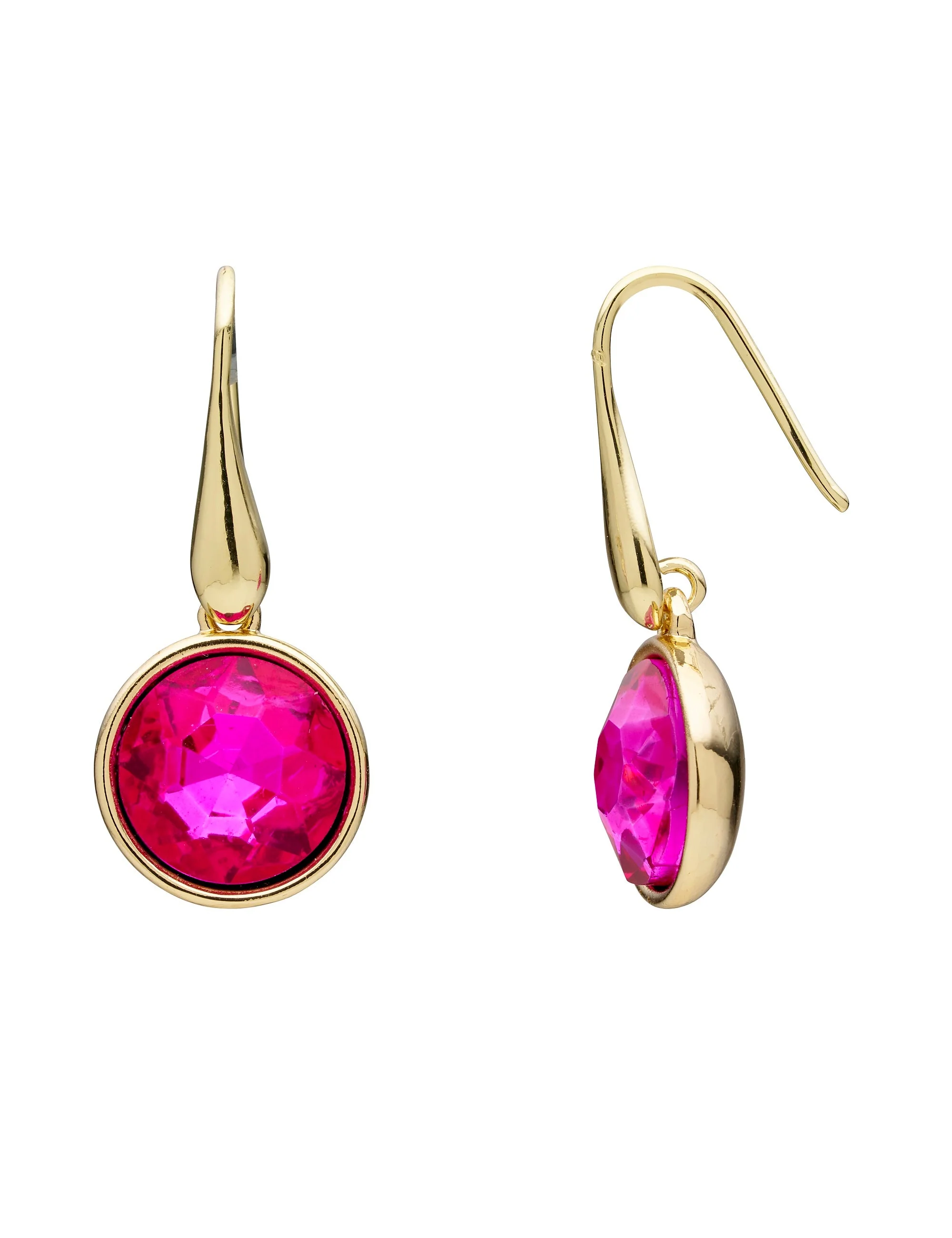 SINGLE COLOUR HOOK EARRING - Image 3