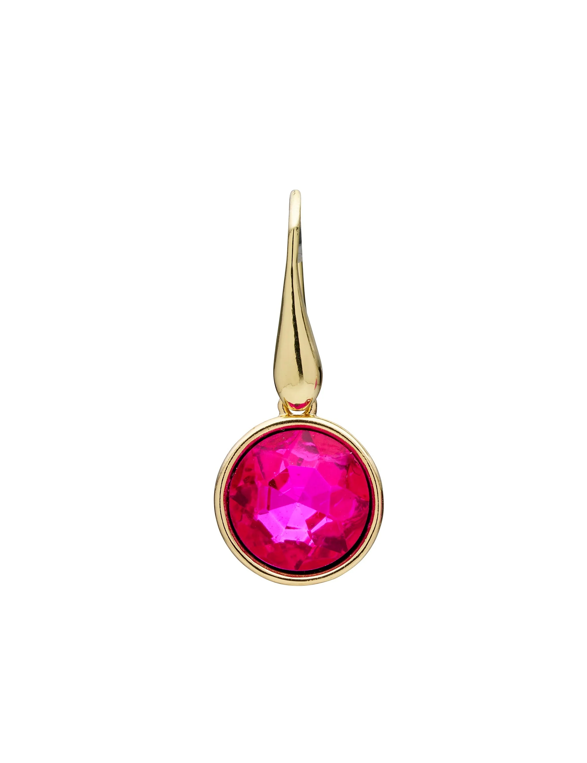 SINGLE COLOUR HOOK EARRING - Image 4
